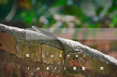 欠網(wǎng)貸對(duì)孩子有沒(méi)有影響(欠網(wǎng)貸會(huì)影響孩子上戶口嗎)