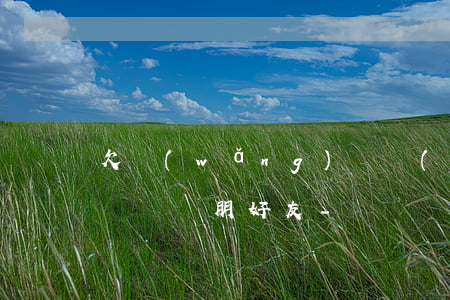 欠網(wǎng)貸對(duì)方打電話騷擾親朋好友-