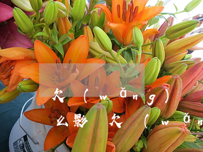 欠網(wǎng)貸對(duì)身體有什么影響(欠網(wǎng)貸對(duì)工作有影響嗎)