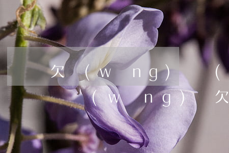 欠網(wǎng)貸對(duì)車貸影響嗎(網(wǎng)貸欠款影響車貸嗎)