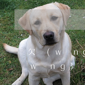 欠網(wǎng)貸對戶口有影響嗎(欠網(wǎng)貸有什么影響)