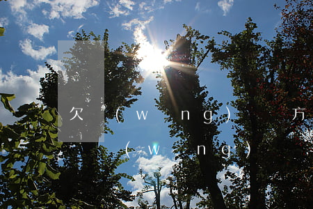 欠網(wǎng)貸對方發(fā)短信辱罵(網(wǎng)貸發(fā)短信說我惡意拖欠)