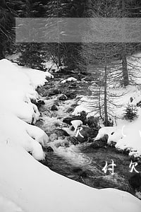 欠網(wǎng)貸對方起訴到法院律師費誰付(欠網(wǎng)貸被起訴要支付對方律師費嗎)