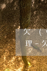 欠網(wǎng)貸對方起訴法院會不會受理-欠網(wǎng)貸對方起訴法院會不會受理呢