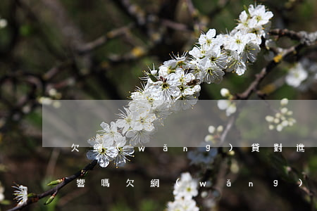 欠網(wǎng)貸對進(jìn)廠有影響嗎(欠網(wǎng)貸會不會影響國企工作)