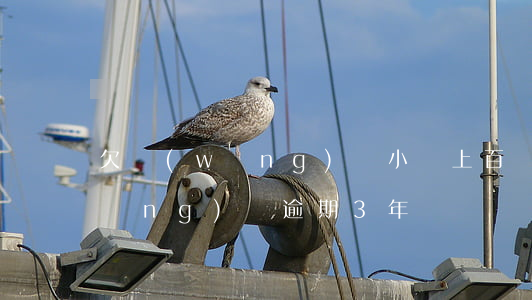 欠網(wǎng)貸小貸上百萬三年(網(wǎng)貸逾期3年)