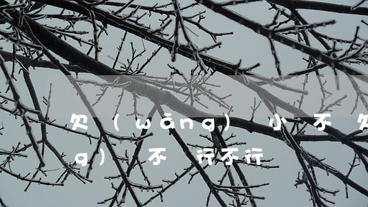 欠網(wǎng)貸小貸不還(欠網(wǎng)貸不還行不行)
