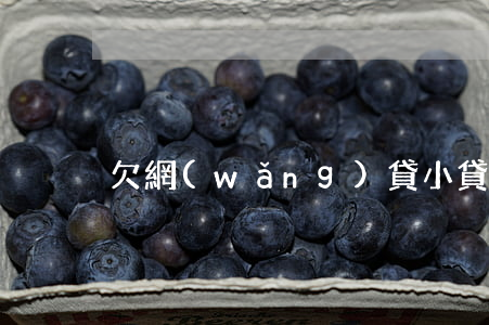 欠網(wǎng)貸小貸不還跑路案例