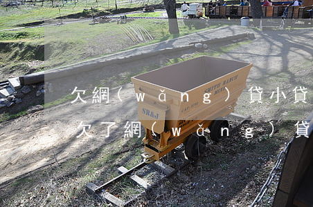 欠網(wǎng)貸小貸信用卡太多怎么辦(欠了網(wǎng)貸信用卡)