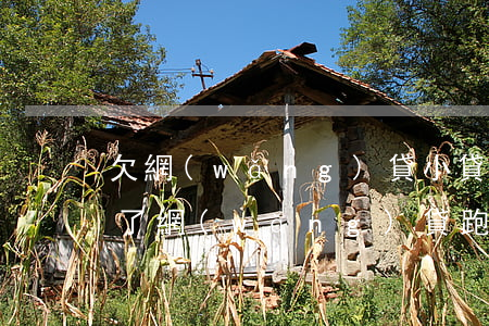 欠網(wǎng)貸小貸太多還不起跑路(借了網(wǎng)貸跑路以后不用還了嗎)