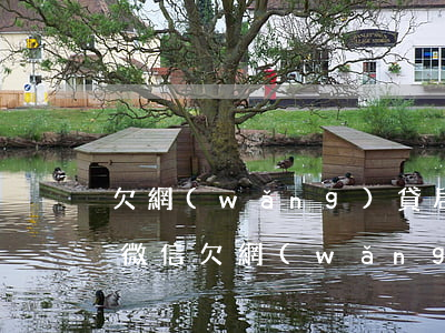 欠網(wǎng)貸居然被凍結(jié)微信(欠網(wǎng)貸會(huì)不會(huì)凍結(jié)微信)