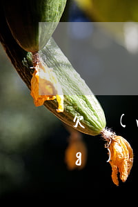 欠網(wǎng)貸崩潰的圖片(網(wǎng)貸欠款截圖圖片一萬(wàn)元的)