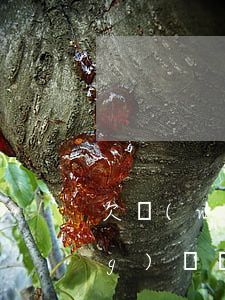 欠網(wǎng)貸工作沒了(欠網(wǎng)貸沒收入怎么辦)