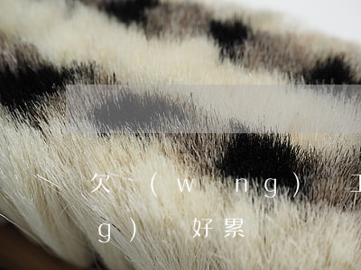 欠網(wǎng)貸工地打工(欠網(wǎng)貸好累)