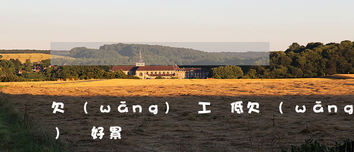 欠網(wǎng)貸工資低(欠網(wǎng)貸好累)