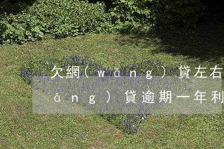 欠網(wǎng)貸左右逾期 一年了(網(wǎng)貸逾期一年利息)