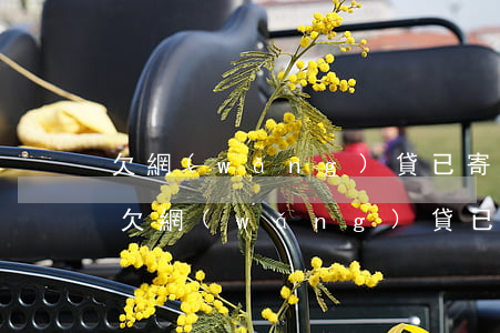 欠網(wǎng)貸已寄律師函到家怎么辦(欠網(wǎng)貸已寄律師函到家怎么辦)