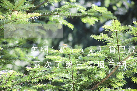 欠網(wǎng)貸已經(jīng)坦白兩次了(第三次坦白網(wǎng)貸欠了20萬了)