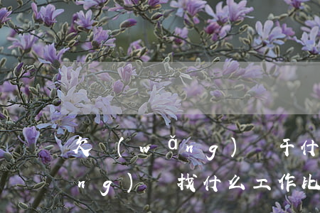欠網(wǎng)貸干什么工作(欠網(wǎng)貸找什么工作比較好)