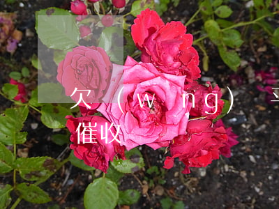 欠網(wǎng)貸平安一賬通(平安壹賬通 催收)