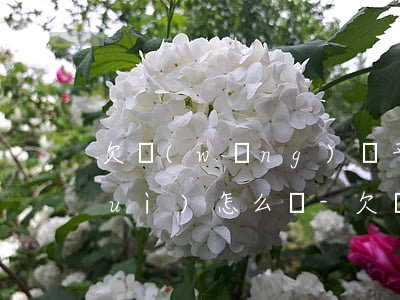 欠網(wǎng)貸平安普惠錢不還會(huì)怎么樣-欠網(wǎng)貸平安普惠錢不還會(huì)怎么樣呢