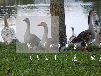 欠網(wǎng)貸平臺(tái)不還會(huì)怎樣(欠正規(guī)網(wǎng)貸平臺(tái)還不上怎么辦)