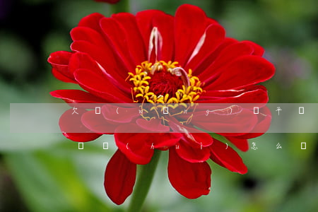 欠網(wǎng)貸平臺(tái)的錢不還會(huì)怎么樣(欠網(wǎng)貸平臺(tái)的錢不還會(huì)怎么樣)