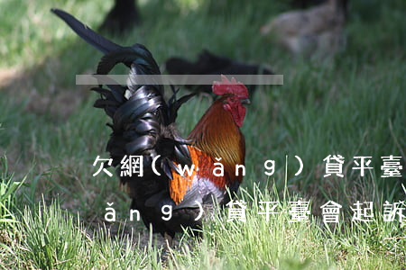 欠網(wǎng)貸平臺會被起訴嗎 網(wǎng)貸平臺會起訴欠款人嗎