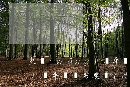 欠網(wǎng)貸平臺錢(欠網(wǎng)貸平臺錢需要調(diào)查家人嘛)