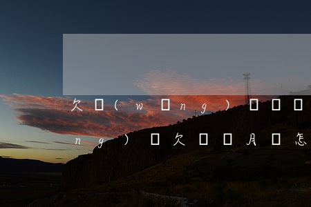 欠網(wǎng)貸幾個月怎么辦(網(wǎng)貸欠兩個月會怎樣)