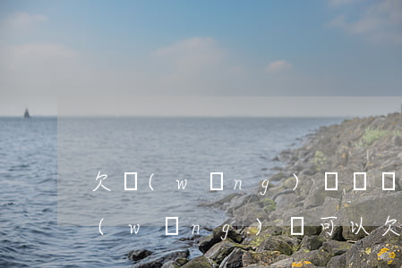 欠網(wǎng)貸幾個月才能還怎么辦(網(wǎng)貸可以欠幾個月)