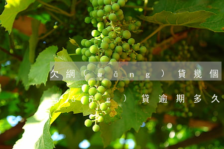 欠網(wǎng)貸幾個月會有律師函(網(wǎng)貸逾期多久收到律師函)