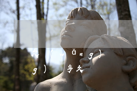 欠網(wǎng)貸幾個月沒還(網(wǎng)貸多久沒還)