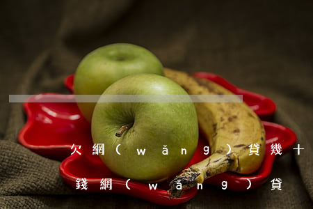 欠網(wǎng)貸幾十塊錢錢(欠了五千塊錢網(wǎng)貸)