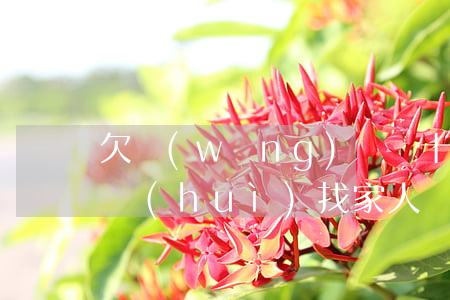 欠網(wǎng)貸幾十萬(wàn)跑路會(huì)找家人嗎(欠債幾十萬(wàn),跑路是個(gè)辦法嗎)