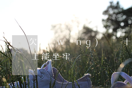 欠網(wǎng)貸幾十萬(wàn)還不上能坐牢