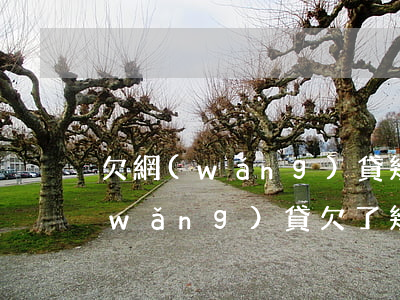 欠網(wǎng)貸幾十萬不還怎么樣(網(wǎng)貸欠了幾十萬還不起怎辦)