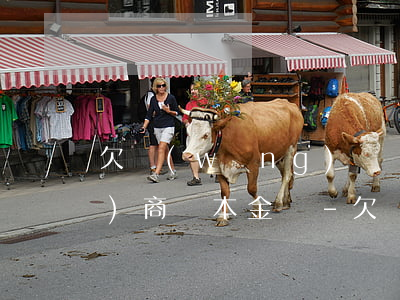 欠網(wǎng)貸幾十萬可以協(xié)商還本金嗎-欠網(wǎng)貸幾十萬可以協(xié)商還本金嗎知乎