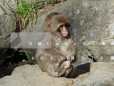 欠網(wǎng)貸幾十萬告訴父母(網(wǎng)貸欠了6萬怎么告訴父母)