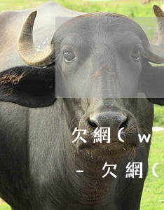 欠網(wǎng)貸幾十萬無力償還怎么辦-欠網(wǎng)貸幾十萬無力償還怎么辦呢