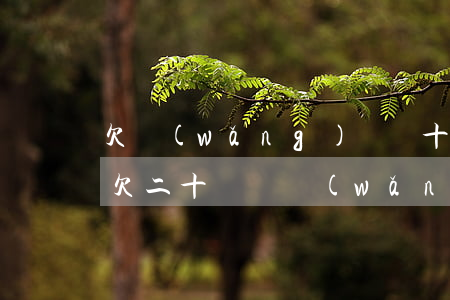 欠網(wǎng)貸幾十萬無力償還怎么辦(欠二十幾萬網(wǎng)貸無力償還)