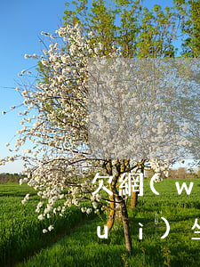 欠網(wǎng)貸幾十萬無法償還會(huì)坐牢嗎-欠網(wǎng)貸幾十萬無法償還會(huì)坐牢嗎知乎
