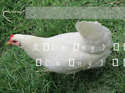 欠網(wǎng)貸幾十萬還不上會怎樣(欠網(wǎng)貸幾十萬還不上會怎樣)