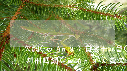 欠網(wǎng)貸幾千元會(huì)被判刑嗎(網(wǎng)貸欠多少錢夠判刑的)