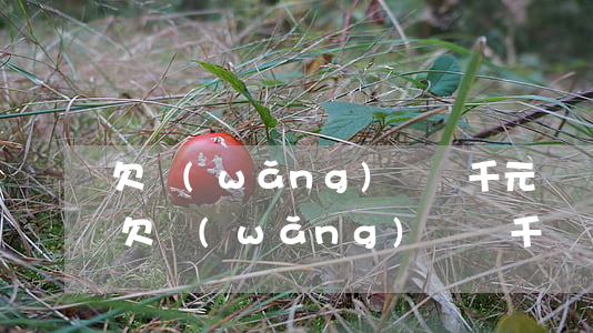 欠網(wǎng)貸幾千元錢會不會被起訴(欠網(wǎng)貸幾千塊錢會被起訴坐牢嗎)