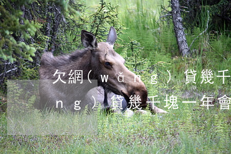 欠網(wǎng)貸幾千塊一年(欠網(wǎng)貸幾千塊一年會(huì)上門嗎)