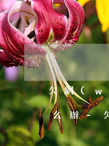 欠網(wǎng)貸幾千塊三年沒有還會怎么辦-欠網(wǎng)貸幾千塊三年沒有還會怎么辦呢