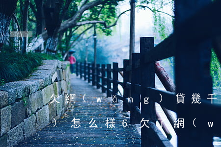 欠網(wǎng)貸幾千塊不還會(huì)怎么樣6(欠了網(wǎng)貸幾千塊還不上怎么辦)