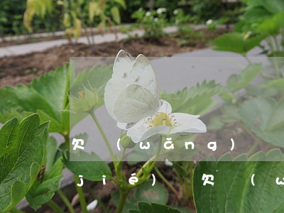 欠網(wǎng)貸幾千塊會被司法凍結(jié)嗎(欠網(wǎng)貸會凍結(jié)賬戶嗎)
