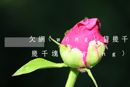 欠網(wǎng)貸幾千塊還說要起訴我(欠幾千塊網(wǎng)貸會被起訴嗎)